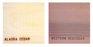 Alaskan Yellow Cedar versus Western Red Cedar